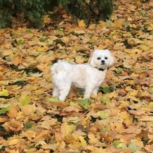 Meet your Posher, Linda